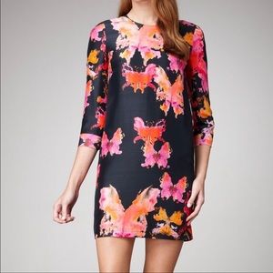 See by Chloe Gorgeous Black Silk Watercolor Butterfly Print Shift Dress Size 6